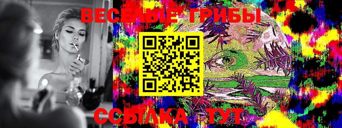 Галлюциногенные грибы GOLDEN TEACHER Карасук